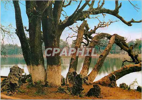 Moderne Karte Ha Noi Au Bord du Lac de Hoan Kiem