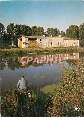 Cartes postales moderne Poitou Les Deux Sevres Touristiques Marais Poitevin Les Marais Geles