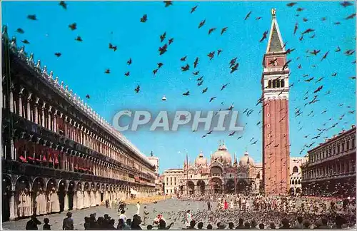 Moderne Karte Venezia Place de S Marco Volee des Pigeons