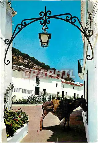 Cartes postales moderne Costa Del Sol Mijas Rue Typique