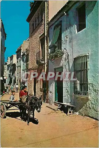 Cartes postales moderne Costa Brava Tossa de Mar Rue Typique Ane Donkey