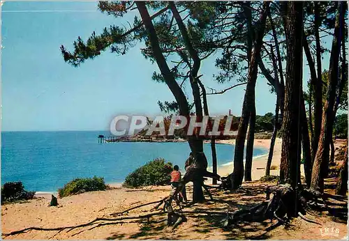 Cartes postales moderne Cote de Beaute La Plage du Platin