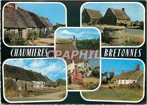 Cartes postales moderne Chaumieres Bretonnes La Bretagne Chaumieres du Morbihan et du Finistere