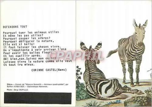 Cartes postales moderne Meilleurs Voeux Zebres Extrait de Histoire Naturelle