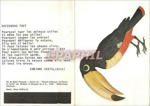 Cartes postales moderne Pic du Bresil (Toucan) Meilleurs Voeux