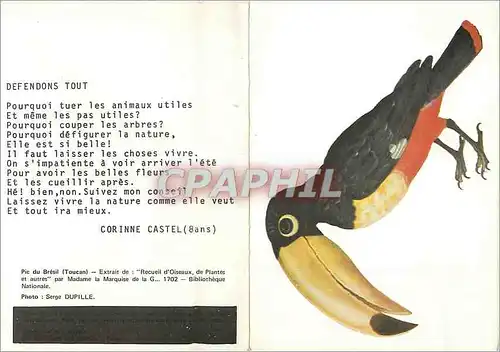 Moderne Karte Pic du Bresil (Toucan) Meilleurs Voeux