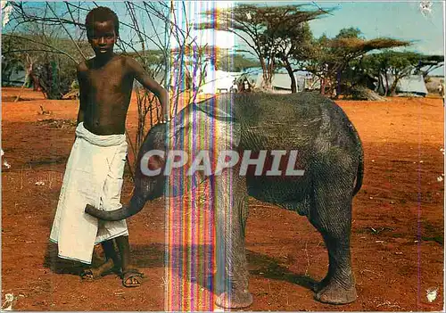 Moderne Karte Kisimayo National Park Two Young Friends Enfant Elephant