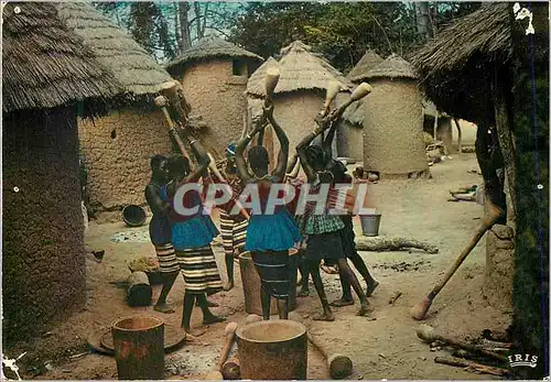 Moderne Karte Afrique en Couleurs Groupe de Pileuses Preparant le Repas