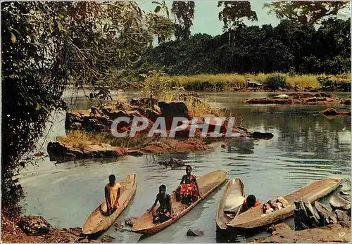 Cartes postales moderne Afrique en Couleurs des Lavandieres