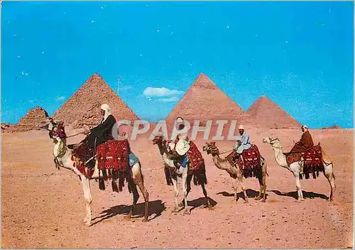 Cartes postales moderne Giza Front of the Pyramids
