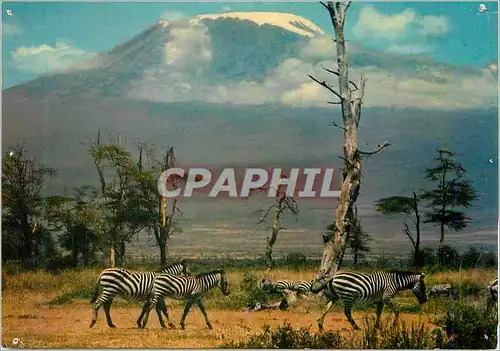 Cartes postales moderne Kenya Kilimanjaro