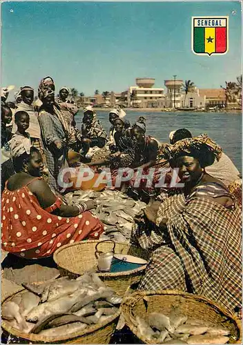 Cartes postales moderne Republique du Senegal Passion a Saint Louis