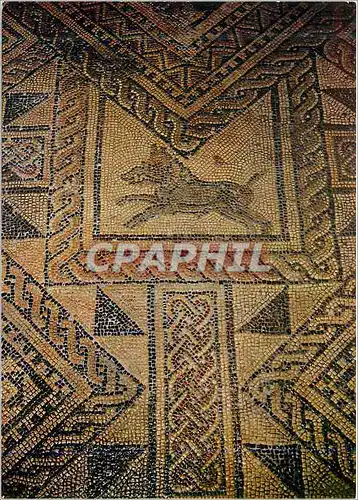 Cartes postales moderne Grand (Vosges) Basilique Antique Mosaique Interieure IIIe Siecle (Detail)