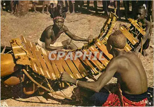 Cartes postales moderne L'Afrique en Couleurs Joueurs de Balafon