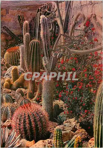 Cartes postales moderne Bandol Jardin Exotique de Sanary Lumiere et Beaute de la Cote d'Azur
