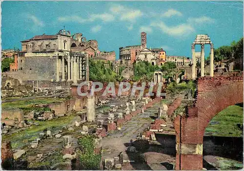 Cartes postales moderne Roma Forum Romain