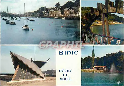 Cartes postales moderne Binic Peche et Voile (C du N) Bretagne en Couleurs