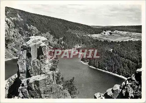 Cartes postales moderne Lac Blanc (Haut Rhin) Altitude 1050 m