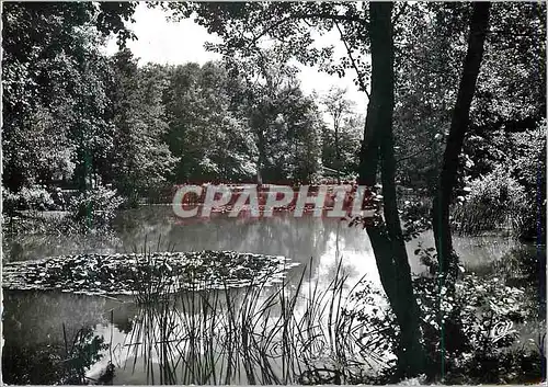 Cartes postales moderne Vittel (Vosges) L'Etang des Fees