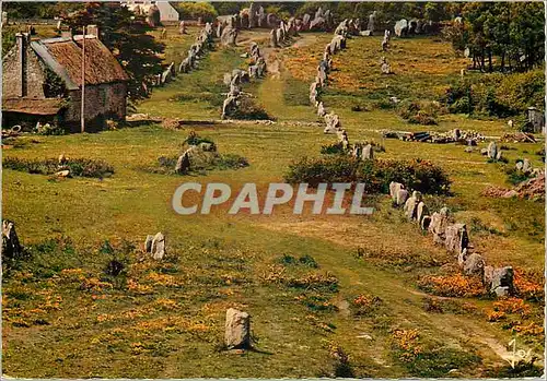 Moderne Karte Carnac (Morbihan) La Bretagne en Couleurs Les Alignements Megalitiques