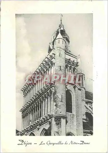 Cartes postales moderne Dijon Les Gargouilles de Notre Dame