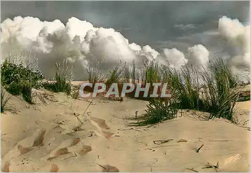 Moderne Karte Cote Atlantique Soir d'Orage sur la Dune