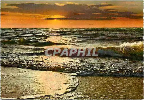 Cartes postales moderne Coucher de soleil Vagues