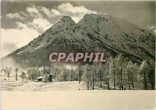 Moderne Karte Montgenevre (1860 m) Arbres geles