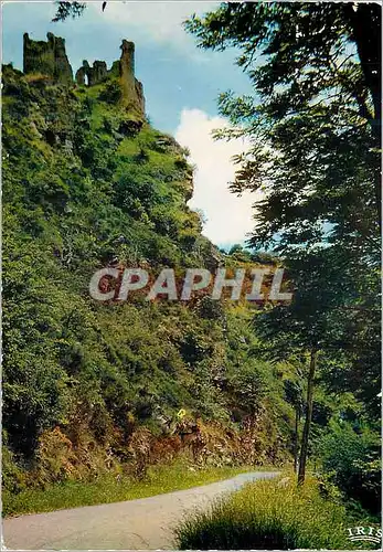 Cartes postales moderne L'Auvergne Gorges de la Sioule Chateau Rocher