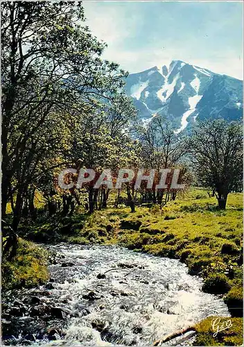 Cartes postales moderne L'Auvergne Massif des Mont Dore Sancy Verant Est Vallee de Chaudefour