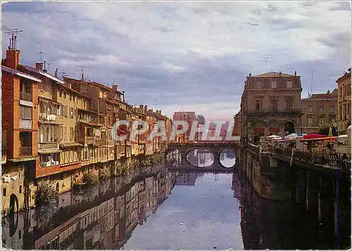 Cartes postales moderne Castres L'Agout le Venise Castrais avec ses Vieilles Maisons