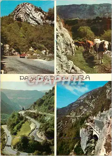 Cartes postales moderne Paysages du Jura Vaches