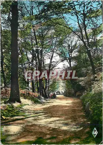 Moderne Karte Epinal (Vosges) Sous Bois dans le Vieux Chateau