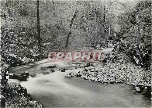 Cartes postales moderne L'Auvergne Cascade de Liodouze sur la Jordanne