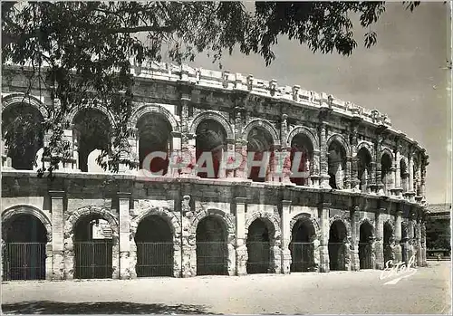 Cartes postales moderne Nimes Les Arenes