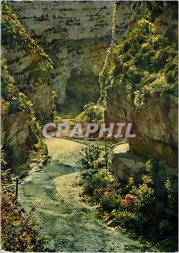 Cartes postales moderne Les Gorges du Verdon Defile de Carrejuan