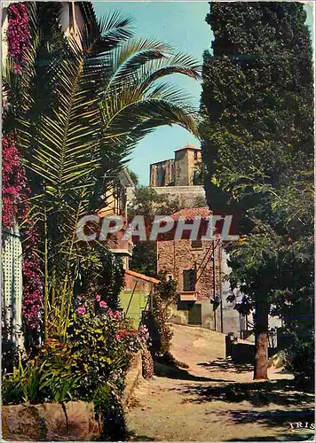 Moderne Karte Bormes les Mimosas (Var) Reflets de la Cote d'Azur