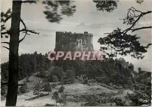 Cartes postales moderne Murols (P de D) Le Chateau