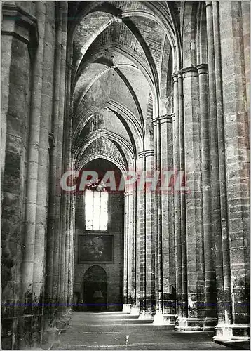 Cartes postales moderne Saint Maxim La Sainte Baume (Var) Basilique du XIIIe Siecle Collateral Sud
