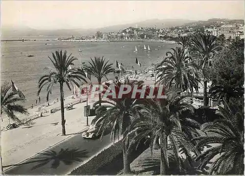 Moderne Karte Cannes La Cote d'Azur La Croisette