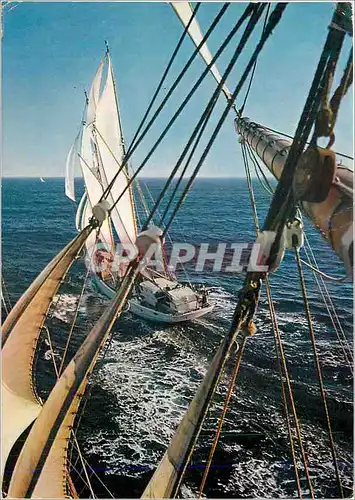 Cartes postales moderne Passion de la Voile (Florence Arthaud) La Belle Poule Vue de L'Etoile Bateau