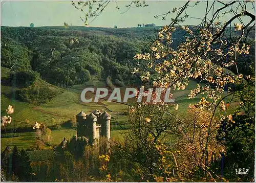 Cartes postales Tournemire (Cantal) Le Chateau d'Anjony Forteresse du Moyen Age