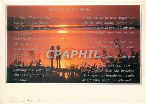 Cartes postales Os Teus Filhos