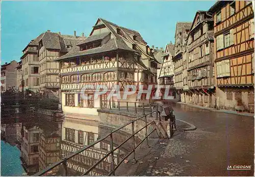 Cartes postales moderne Strasbourg (Bas Rhin) L'Alsace Pittoresque Le Bain aux Plantes