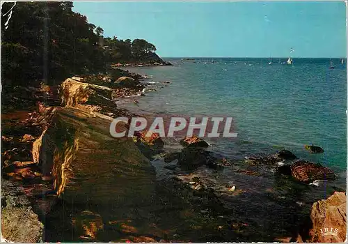 Cartes postales moderne Ile de Noirmoutier Rochers de l'Anse et le COB