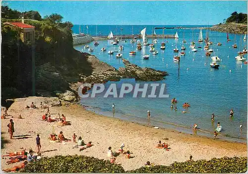 Cartes postales moderne Pornic Lumiere de la Cote de Jade