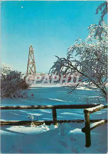 Cartes postales moderne Hiver en Haute Fagne