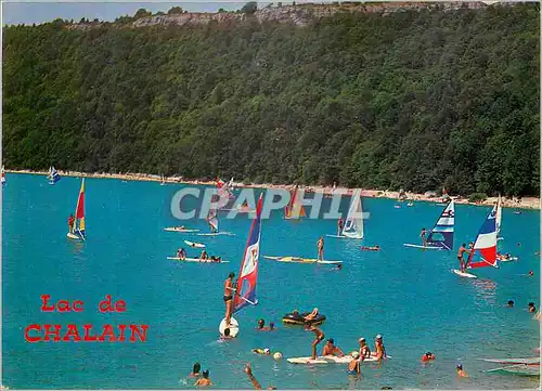 Cartes postales moderne La Franche Comte Pittoresque Lac de Chalain  Planches a voile sur le Lac