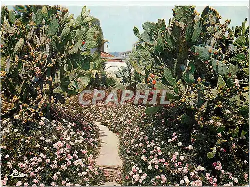Cartes postales moderne Hyeres (Var) Jardin Obius Riquier Cote d'Azur France