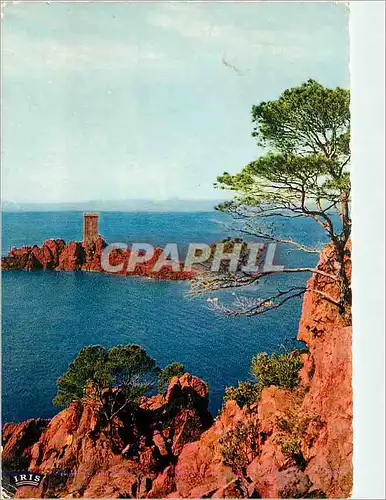 Cartes postales moderne la Corniche d'Or l'Ile d'Or vue du Dramont Reflets de la Cote d'Azur